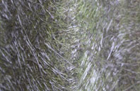 Lambston fibreglass roof work